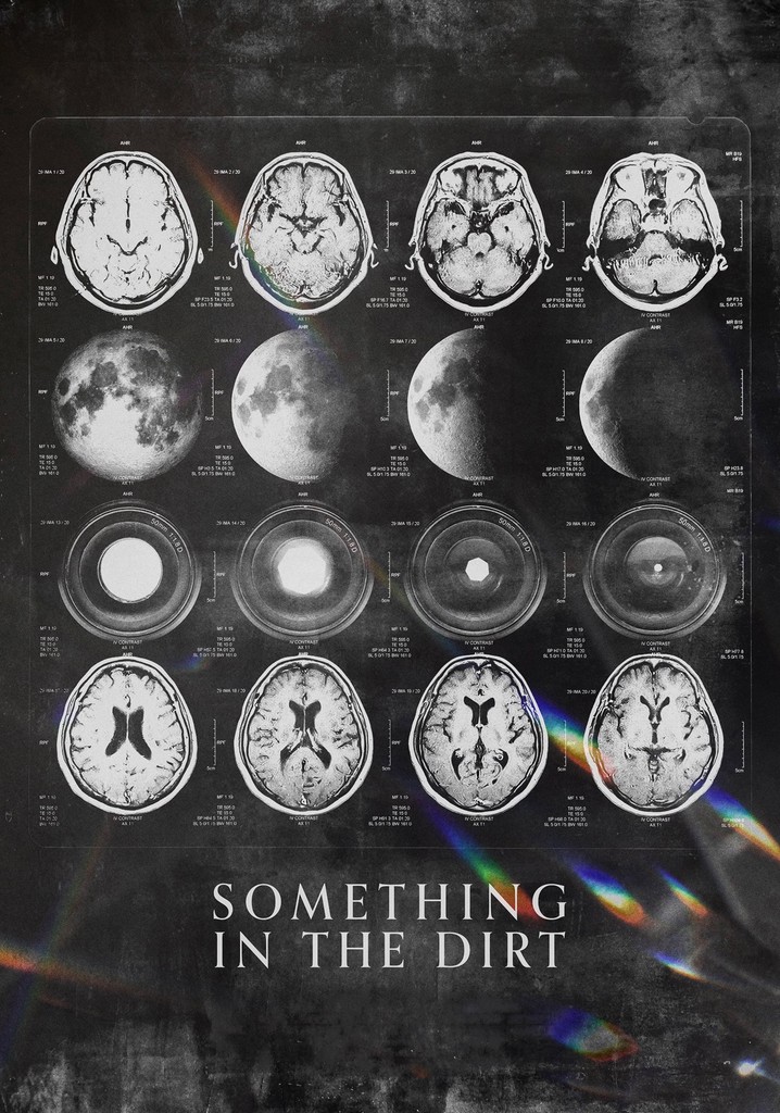 Something in the Dirt poster