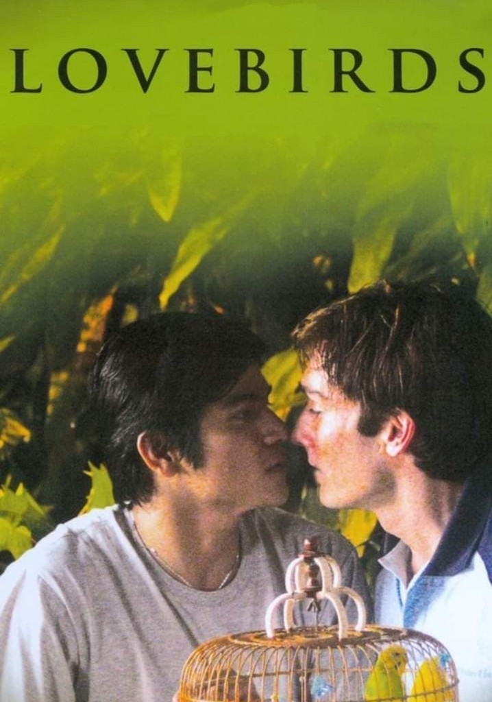 Lovebirds poster