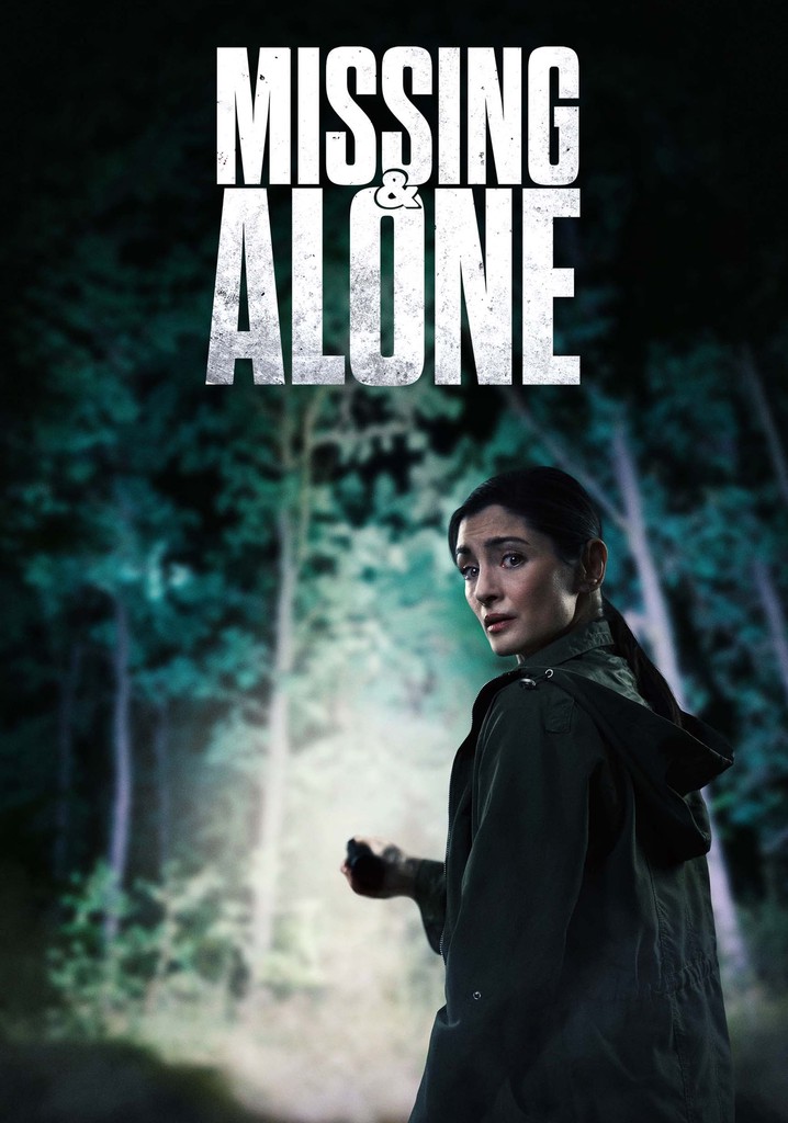 Missing and Alone poster
