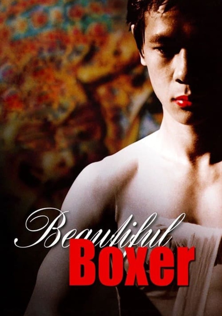 Beautiful Boxer poster