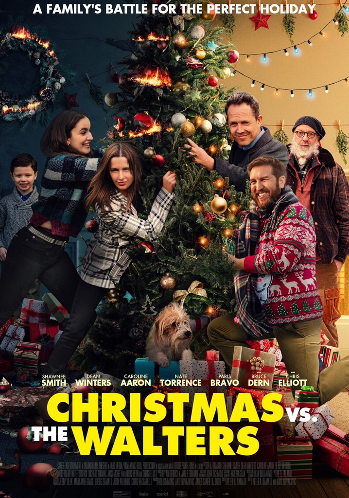 Christmas vs. The Walters poster