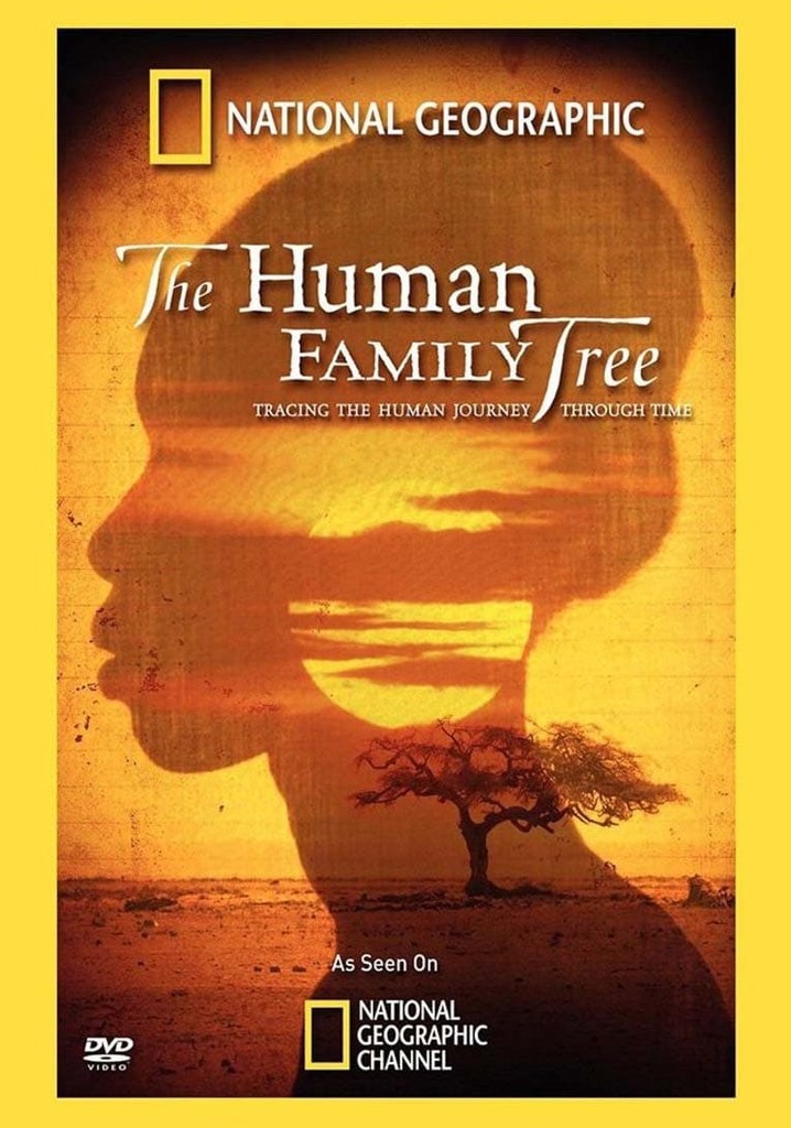 The Human Family Tree poster