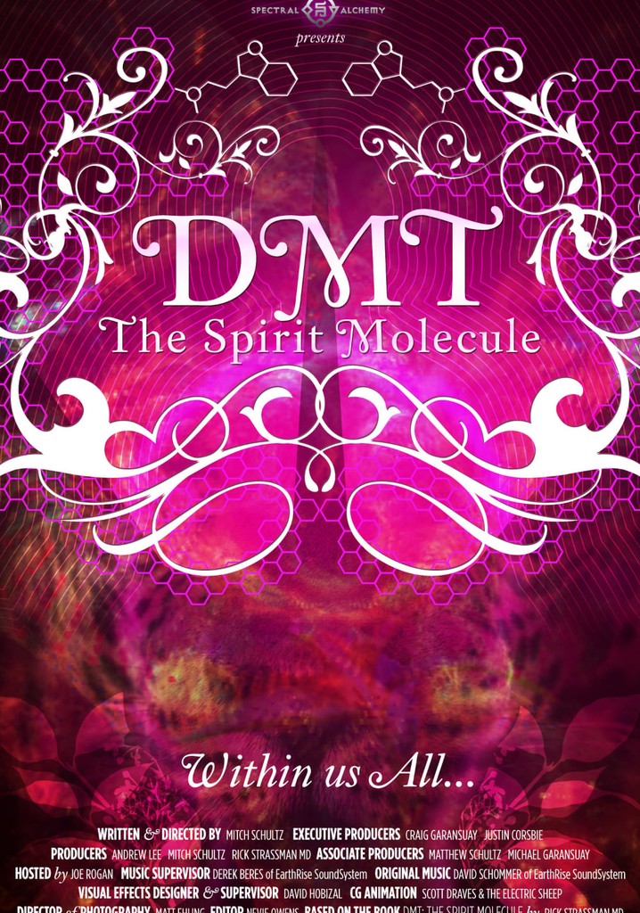 DMT: The Spirit Molecule poster
