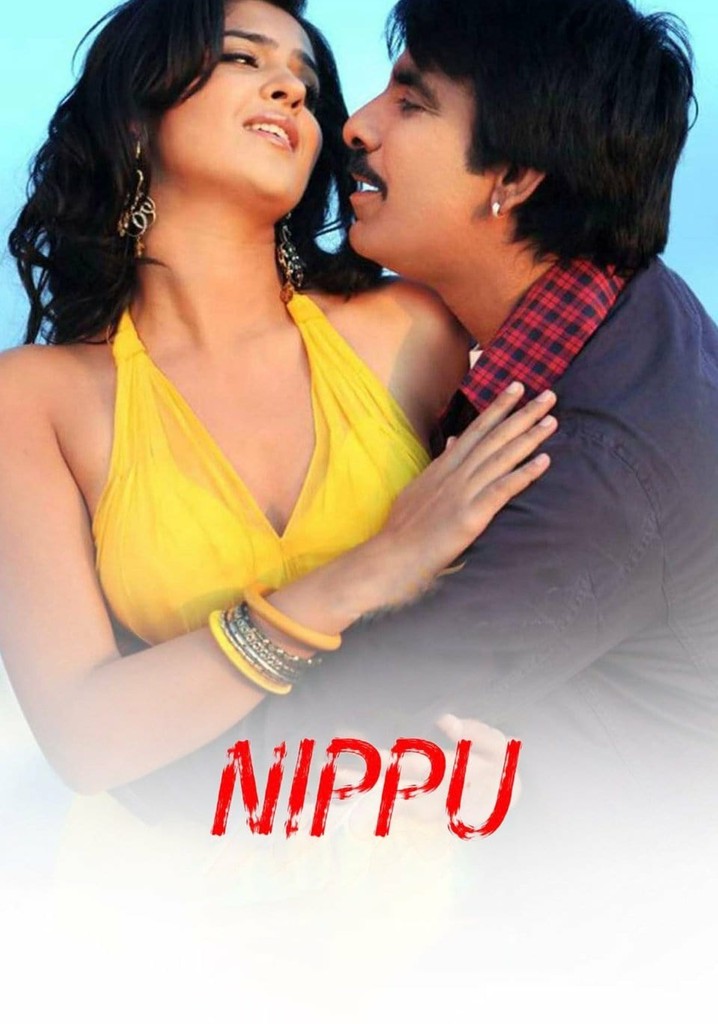Nippu poster