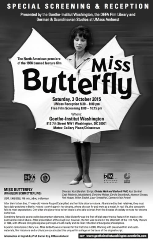 Fräulein Schmetterling poster