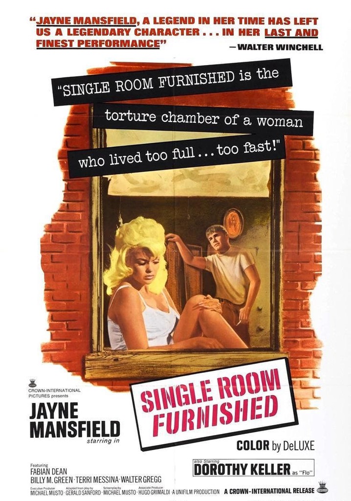 Single Room Furnished poster