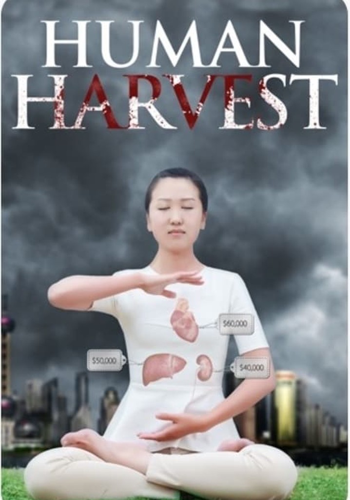 Human Harvest poster