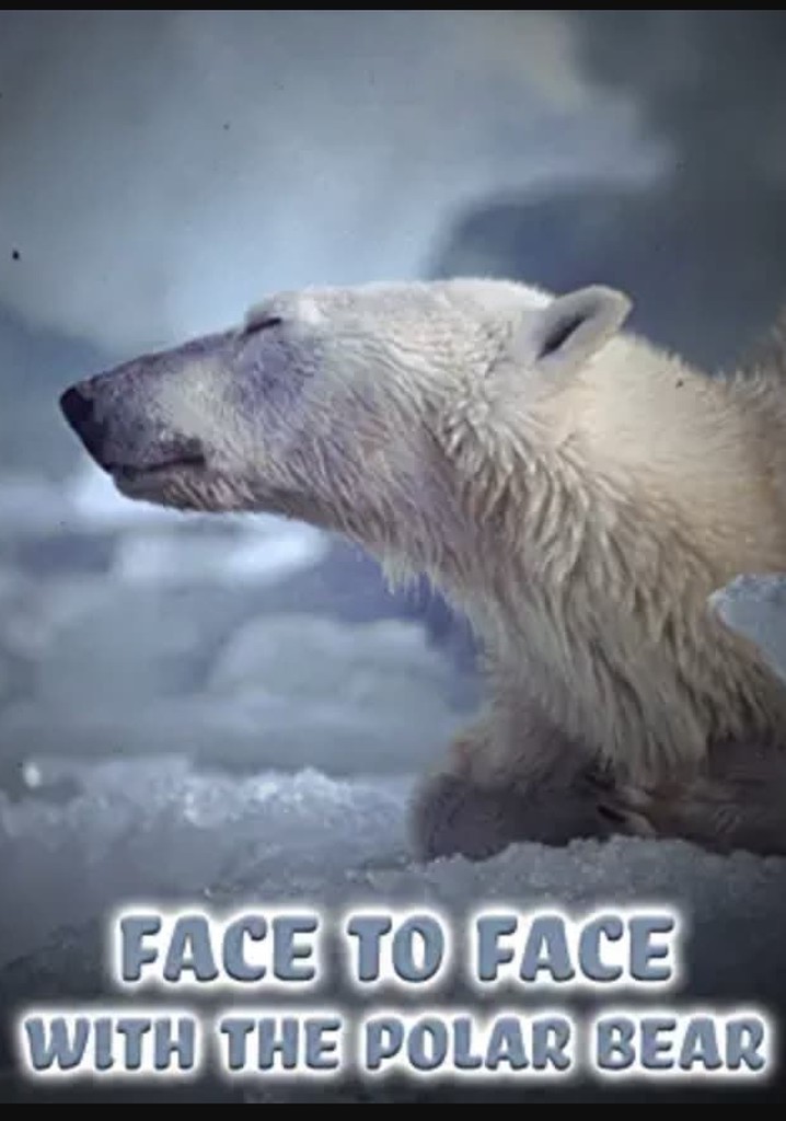 Face to Face with the Polar poster