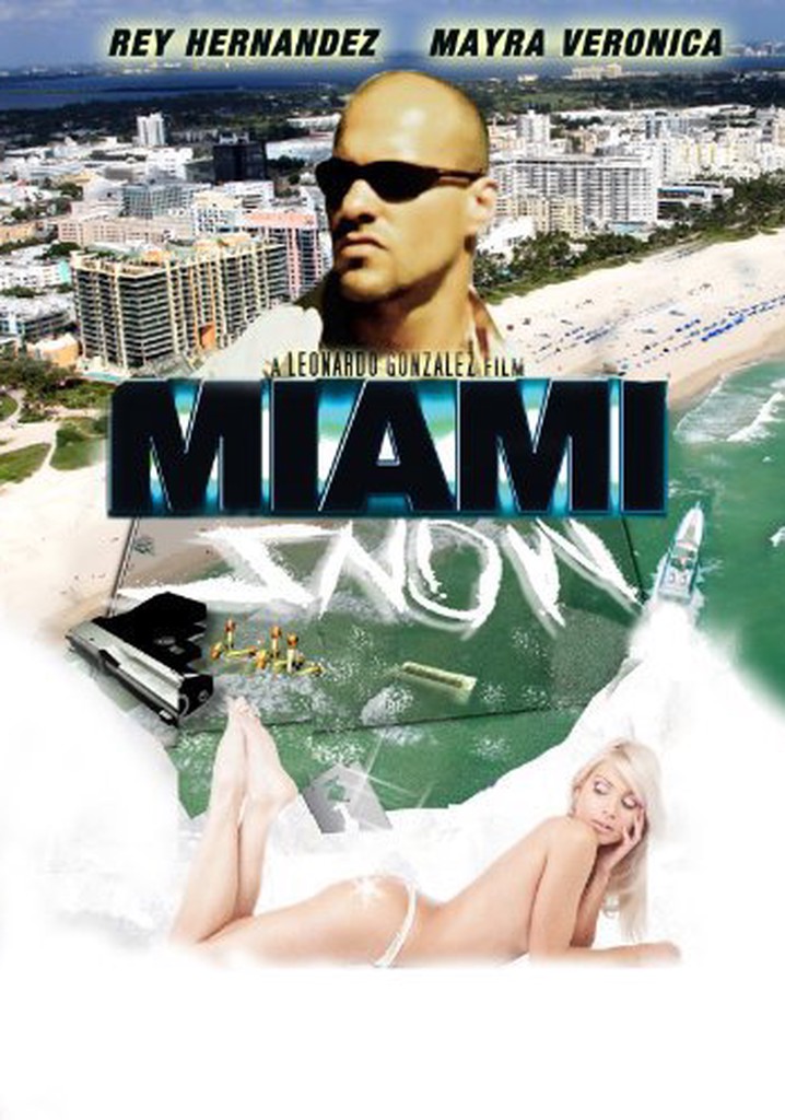Miami Snow poster