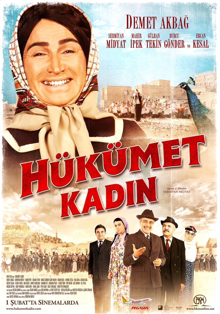 Government Woman poster