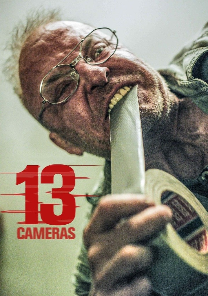 13 Cameras poster