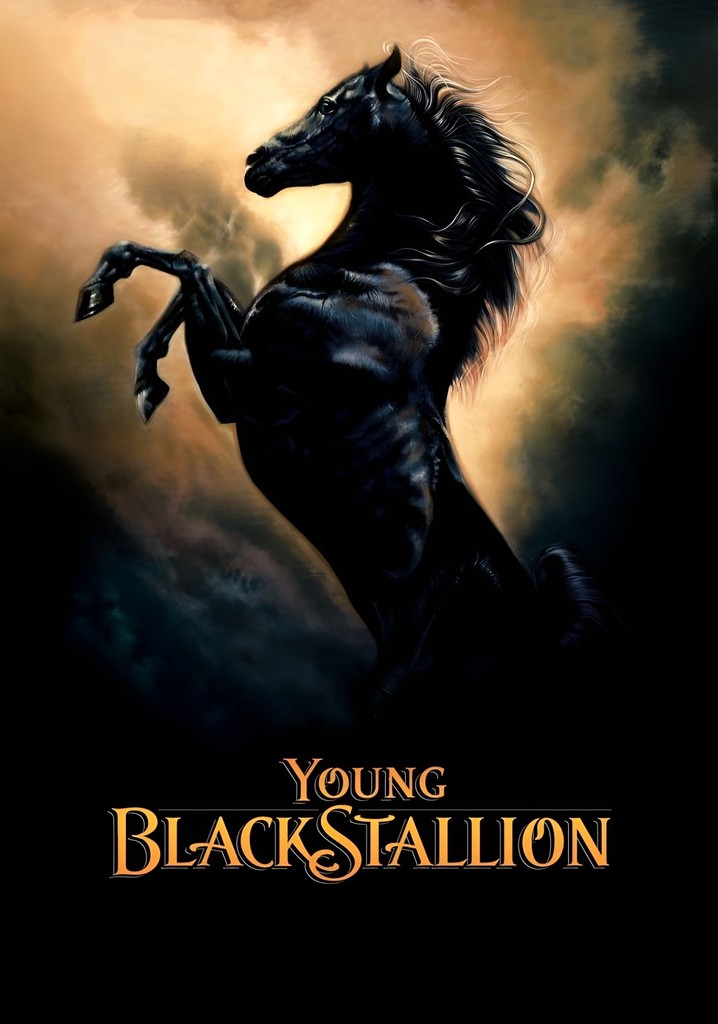 Young Black Stallion poster