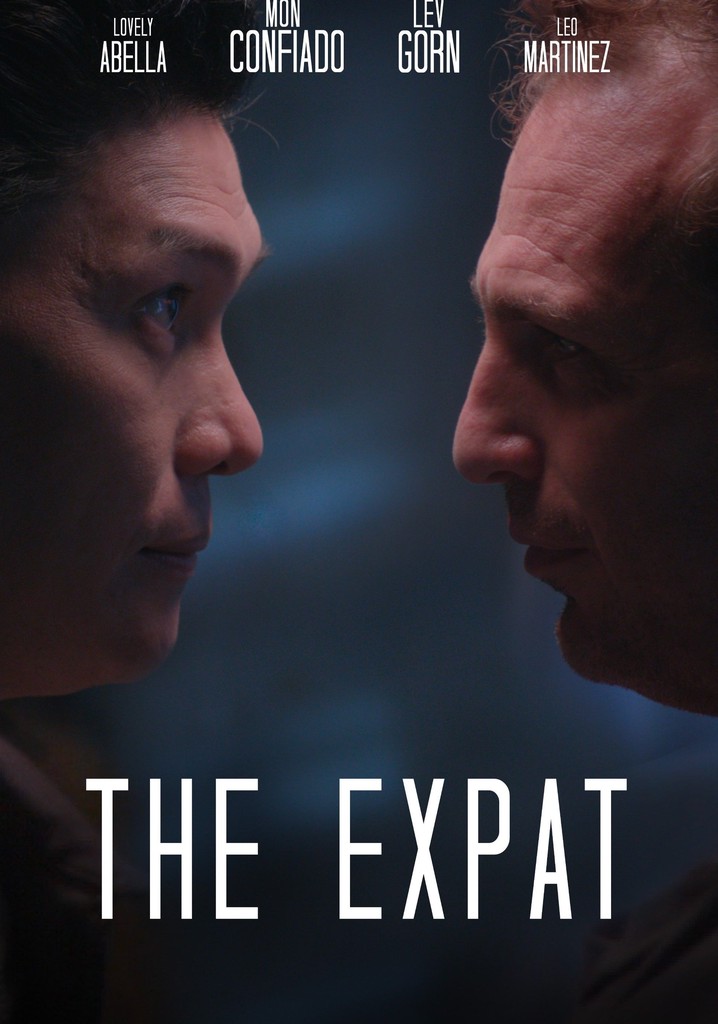 The Expat poster