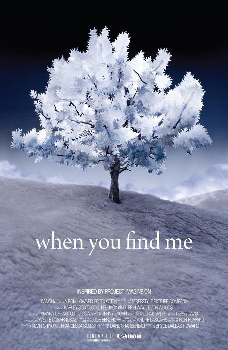 When You Find Me poster