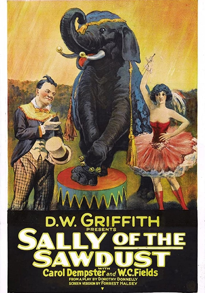 Sally of the Sawdust poster