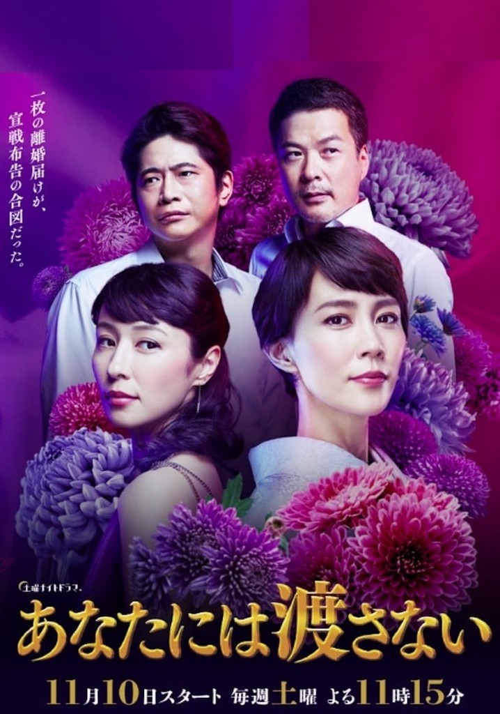 あなたには渡さない poster