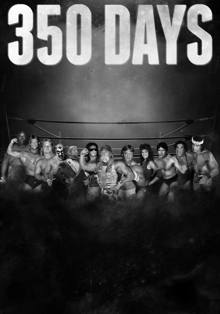 350 Days poster