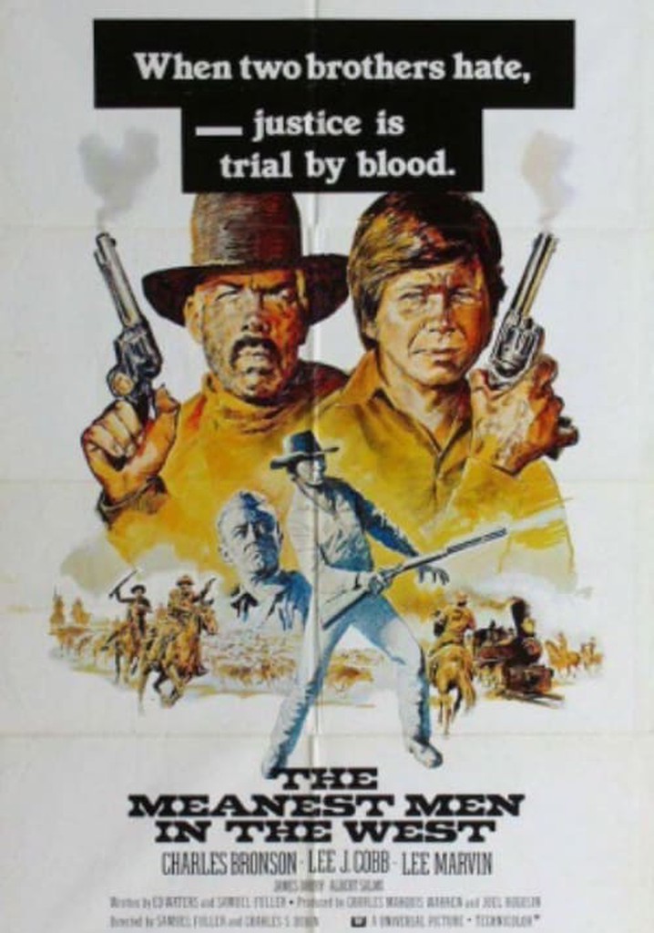 The Meanest Men in the West poster