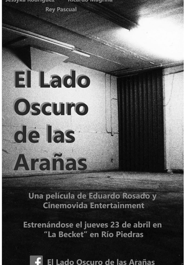 El lado oscuro de las arañas poster