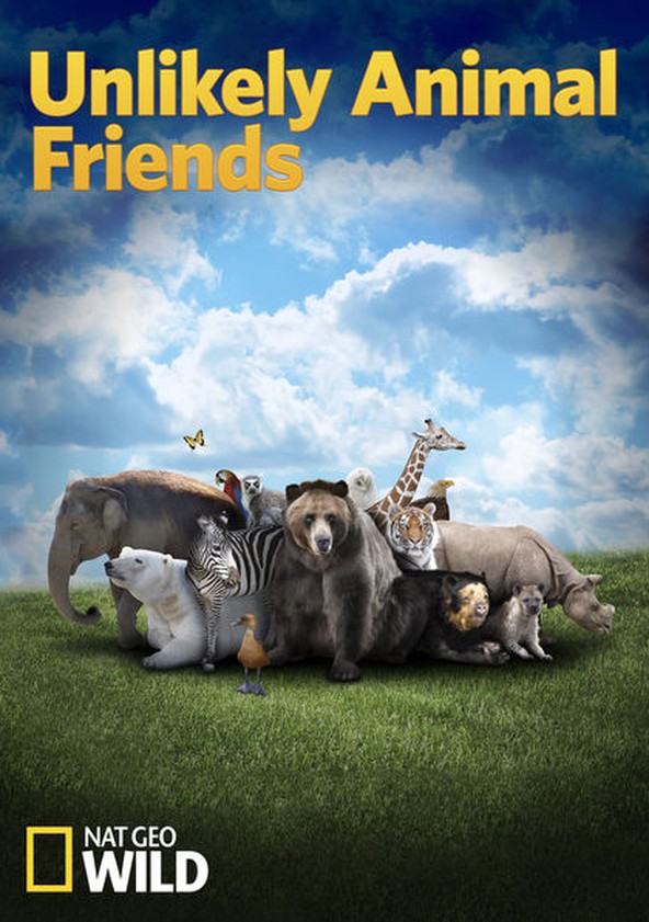 Unlikely Animal Friends poster