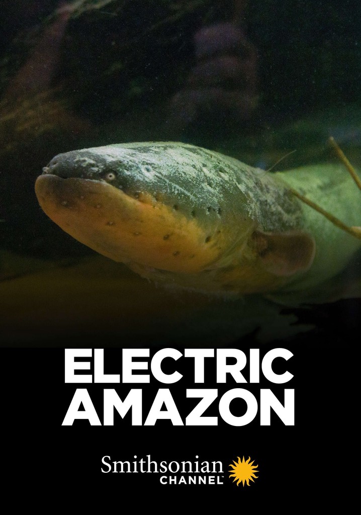 Electric Amazon poster
