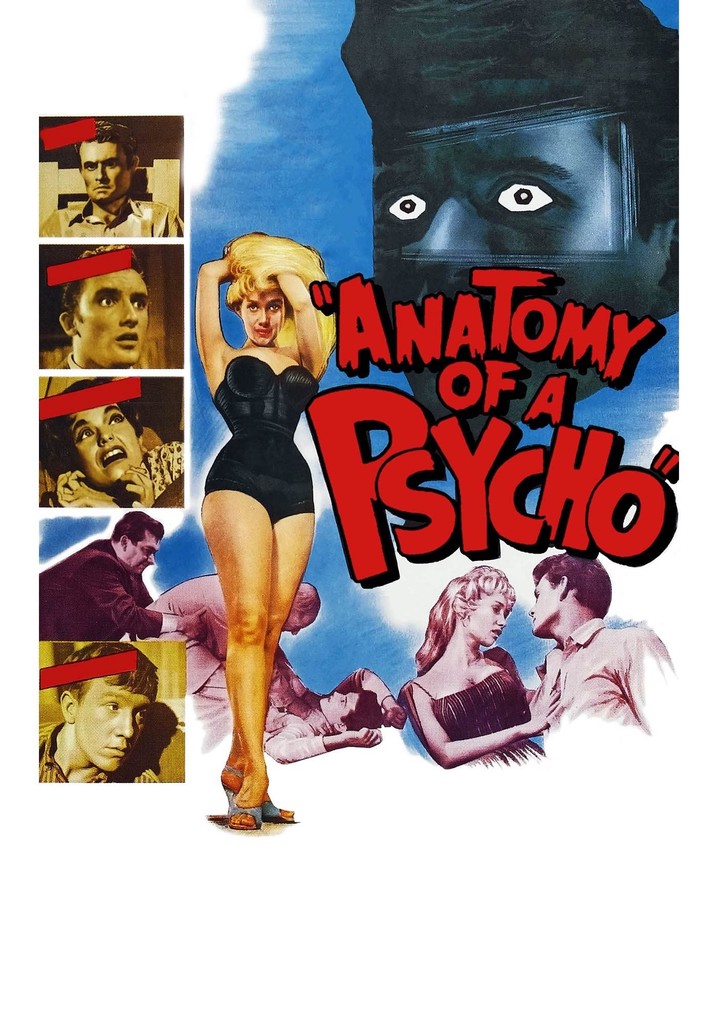 Anatomy of a Psycho poster