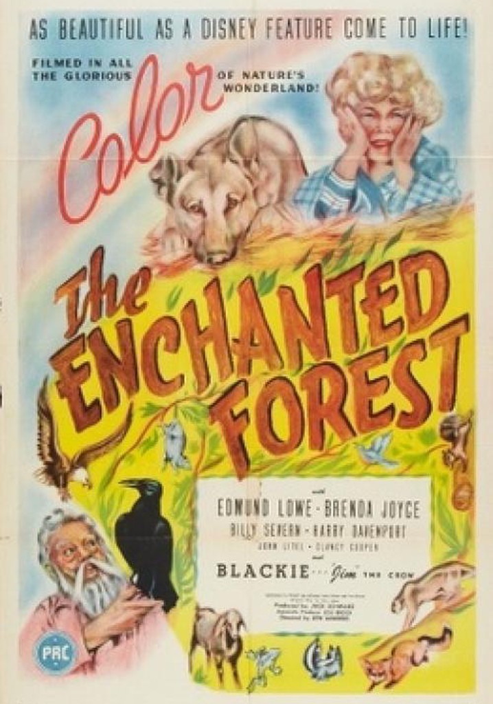 The Enchanted Forest poster