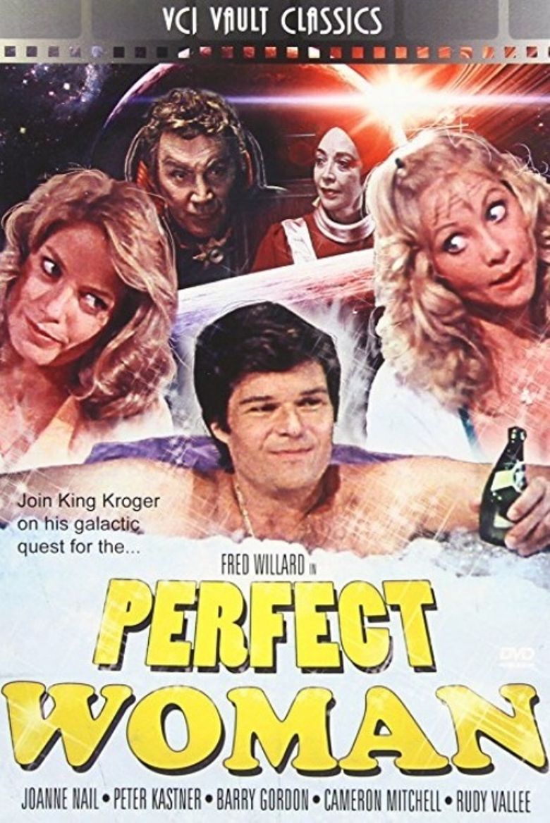 The Perfect Woman poster