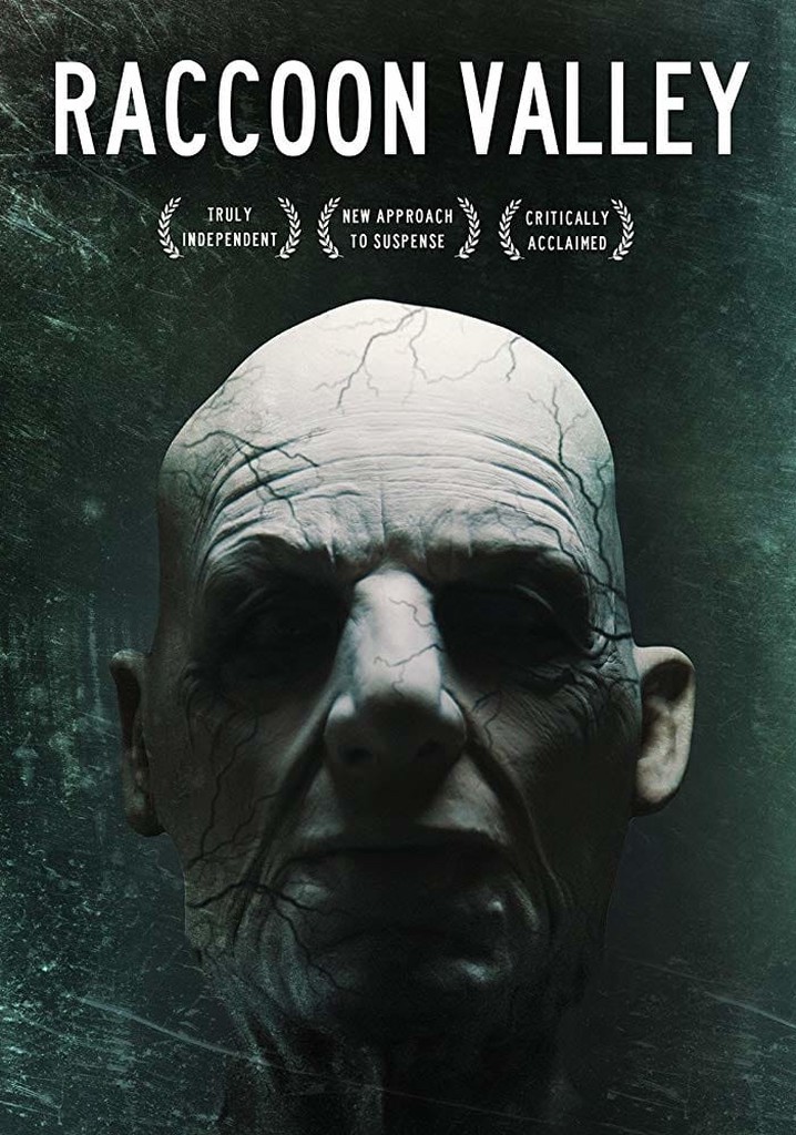 Raccoon Valley poster