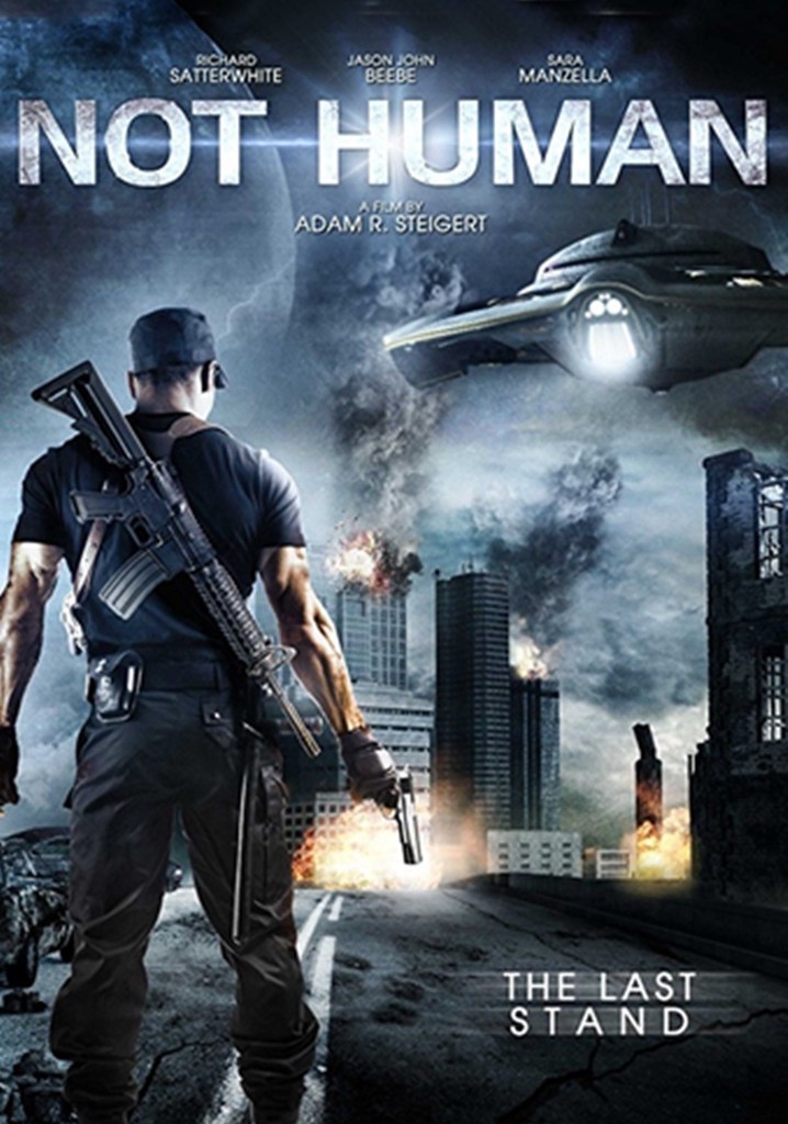 Ombis: Alien Invasion poster