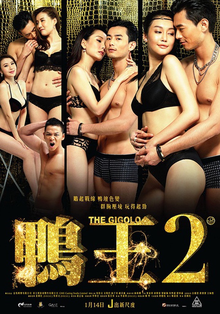 The Gigolo 2 poster