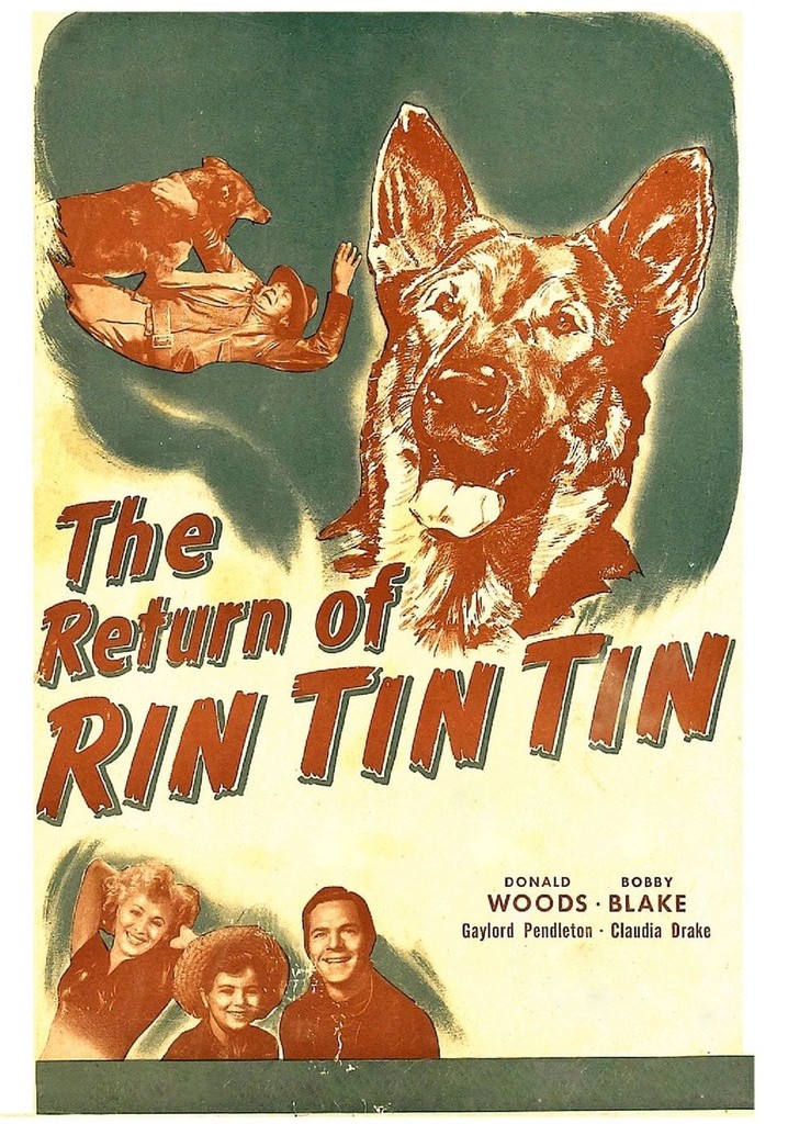 The Return of Rin Tin Tin poster