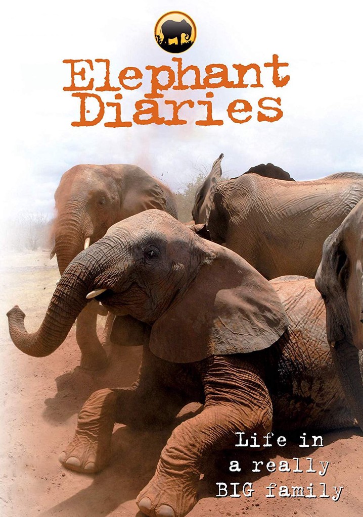 Elephant Diaries poster