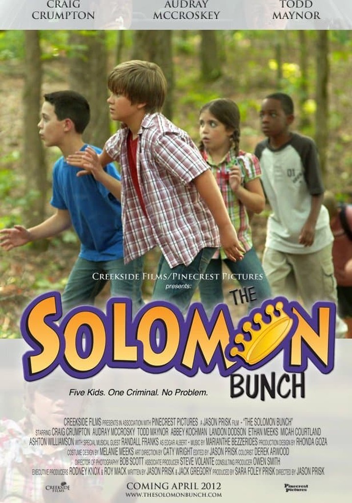 The Solomon Bunch poster