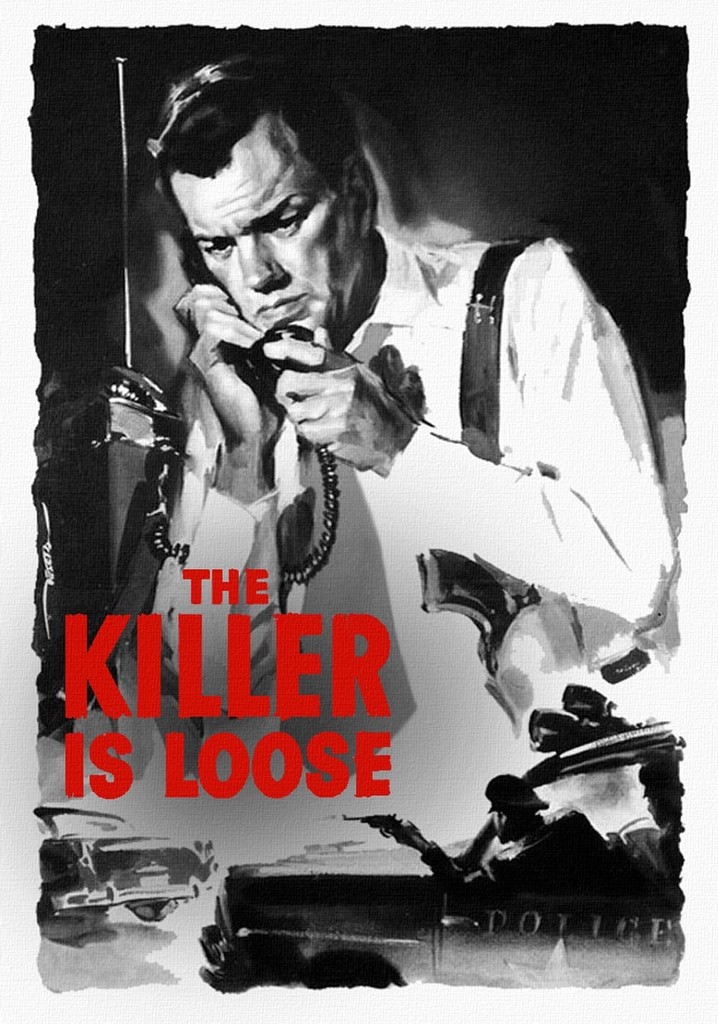 The Killer Is Loose poster