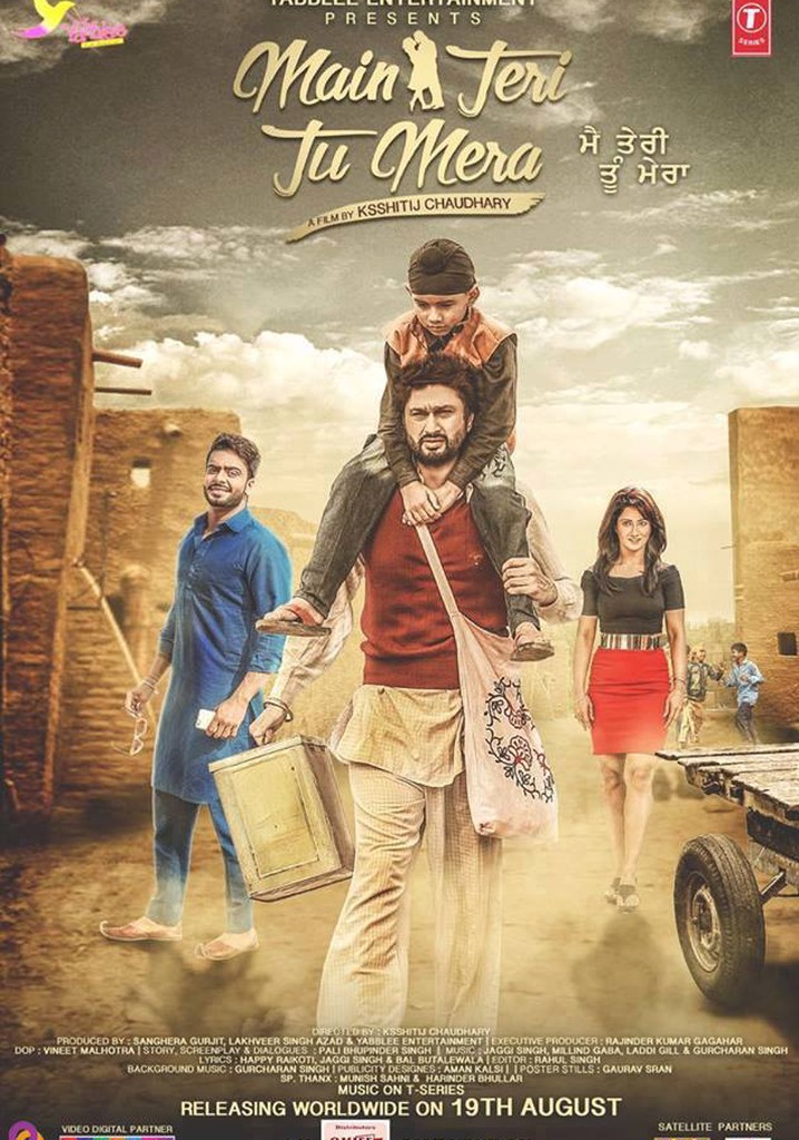 Main Teri Tu Mera poster