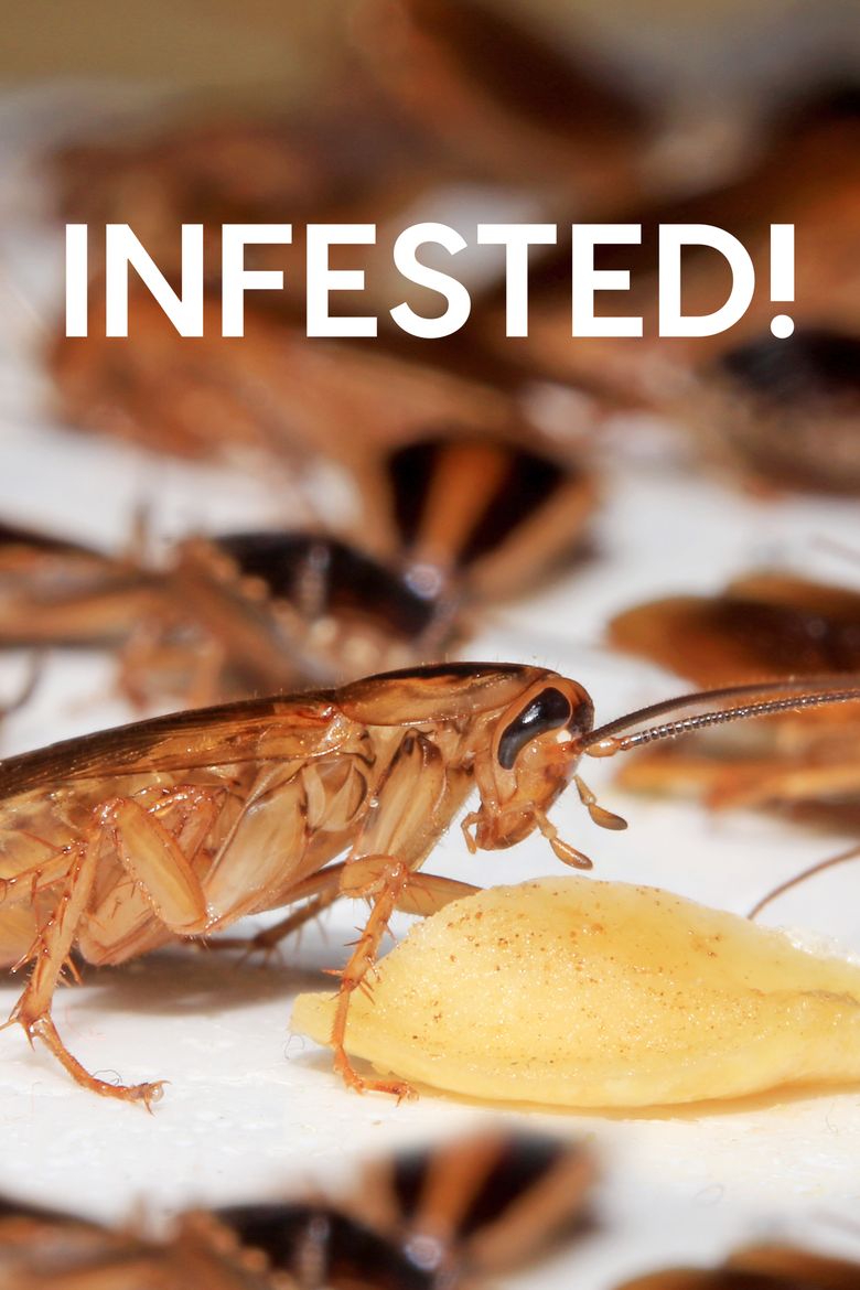 Infested poster