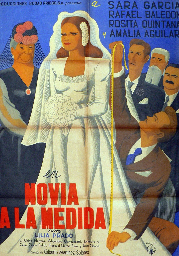 Novia a la medida poster
