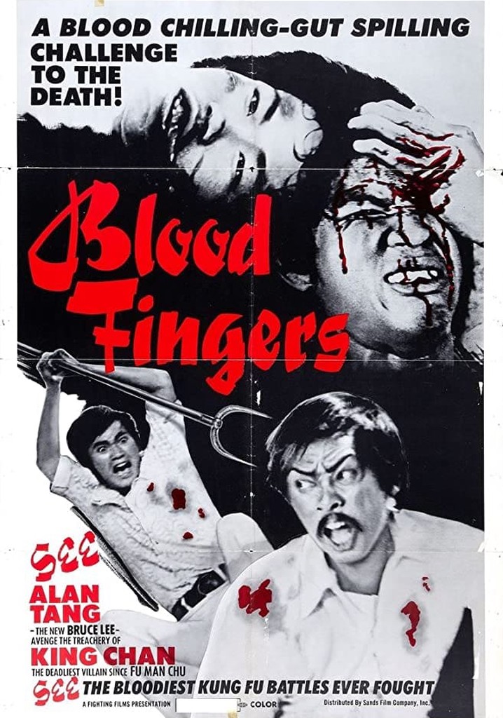 The Brutal Boxer poster