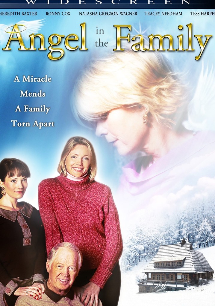 Angel in the Family poster