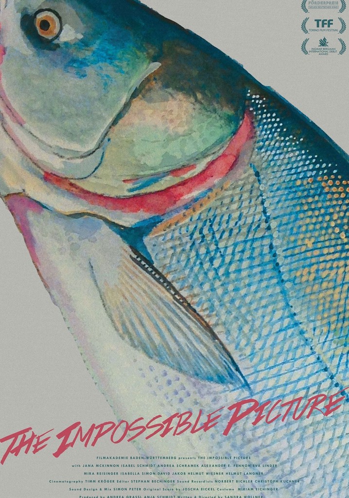 The Impossible Picture poster