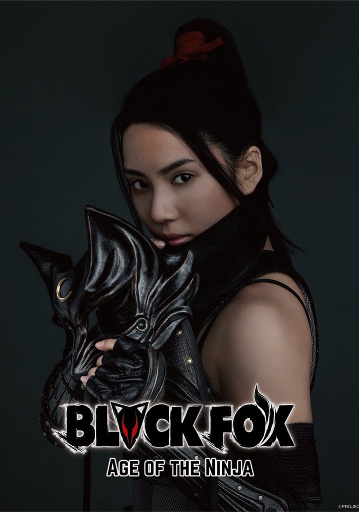 Black Fox: Age of the Ninja poster