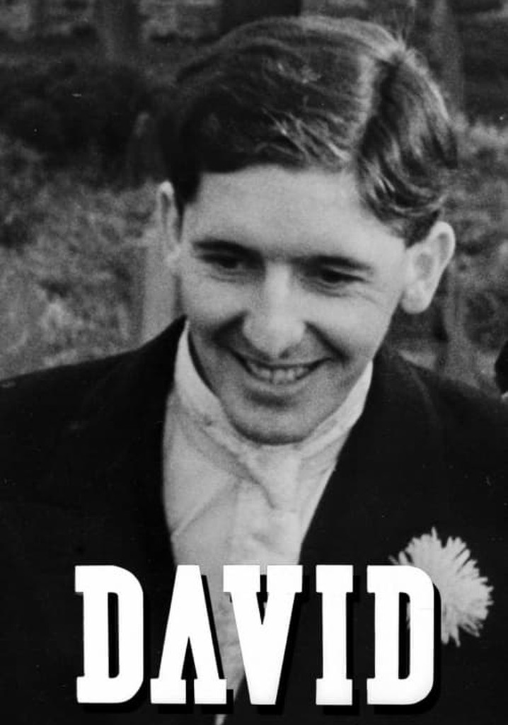 David poster