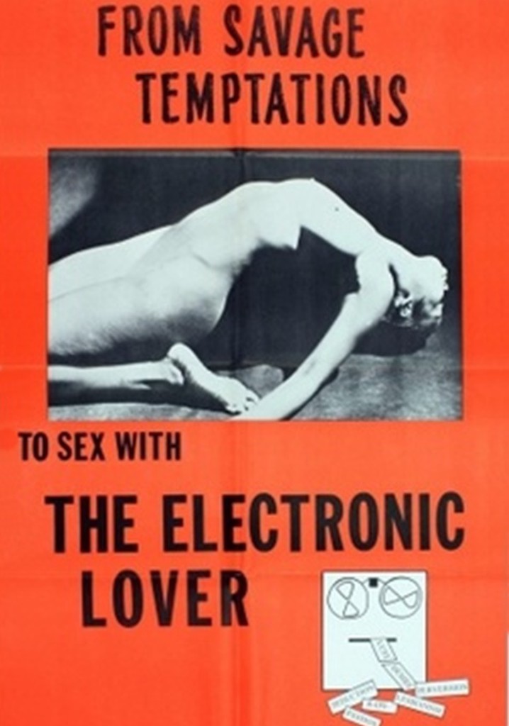 Electronic Lover poster