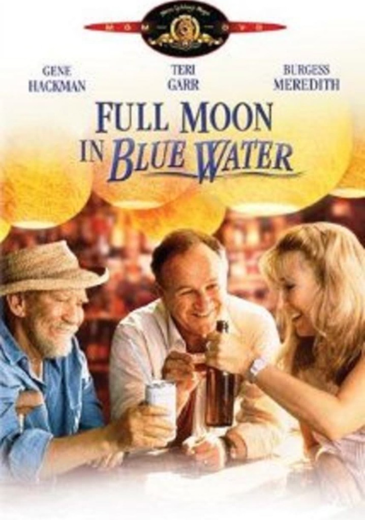 Full Moon in Blue Water poster