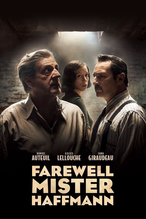 Adieu Monsieur Haffmann poster