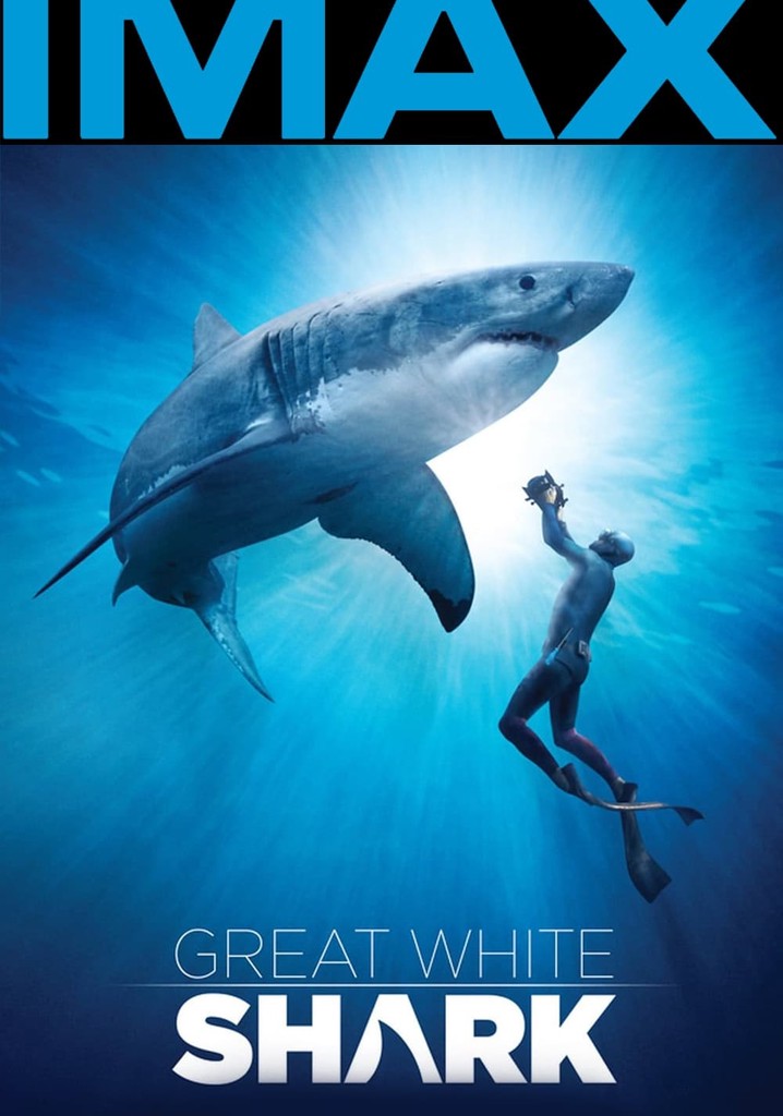 Great White Shark poster
