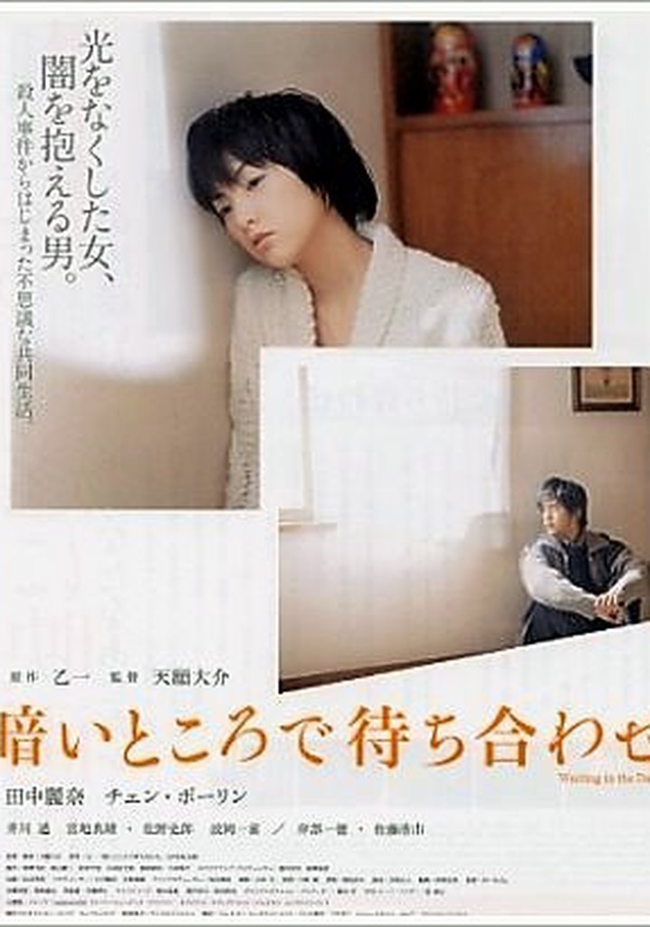 Waiting in the Dark poster