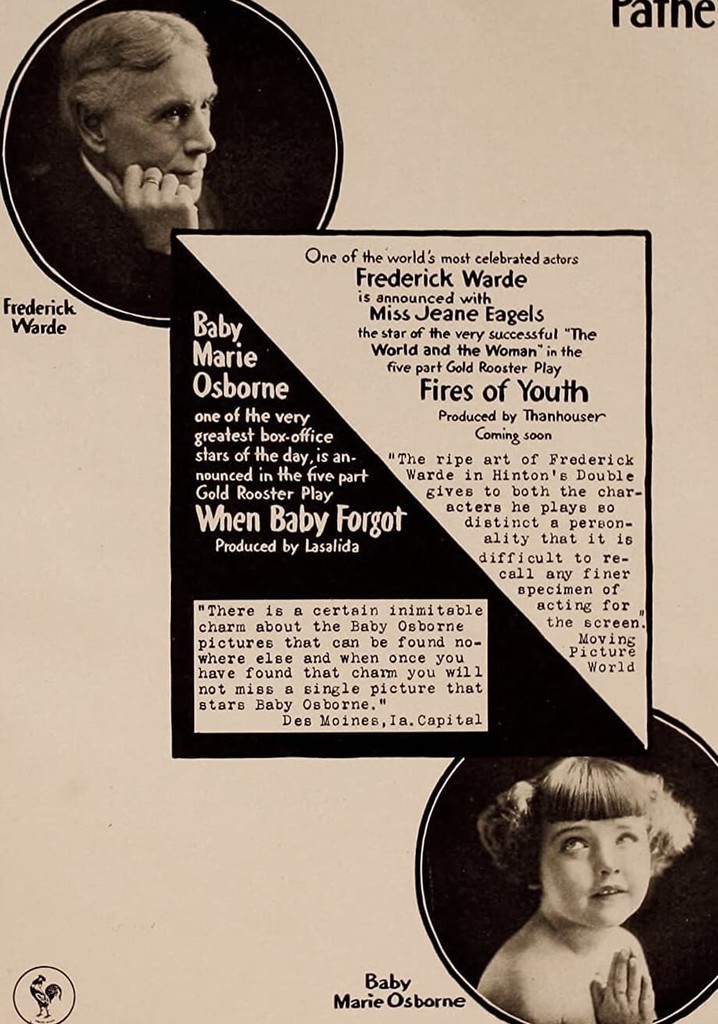 The Fires of Youth poster