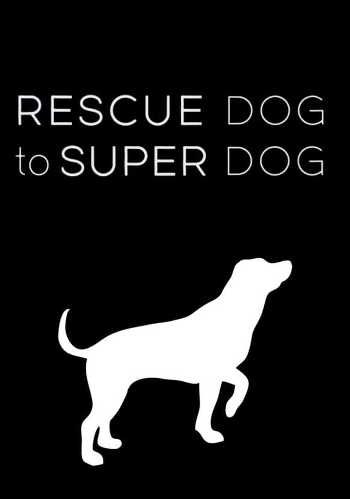 Rescue Dog to Super Dog poster